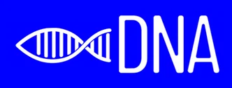 DNA Solidariedade